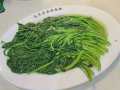 -长平老姿娘夜粥(平东一街店)