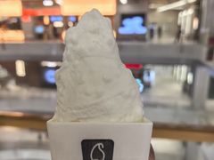 -野人先生现做冰淇淋(北京环宇荟店)