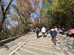 -灵岩山风景区