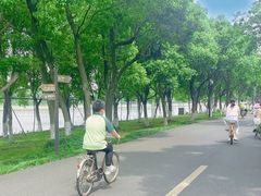 -乌村
