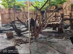 -泉州海丝野生动物世界