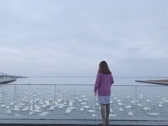 -烟墩角天鹅湖