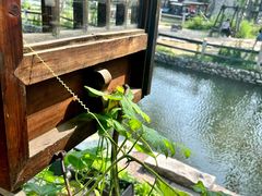 -卧龙堡客栈·中餐厅(古北水镇店)