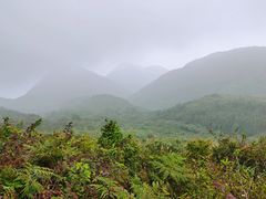-东白山