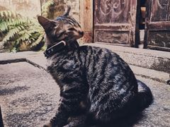 -老屋咖啡