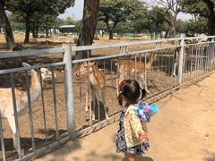 -西安秦岭野生动物园