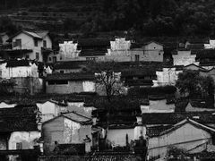 -杨家堂村