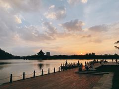 -顺峰山公园