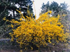 -香山公园-东宫门售票处