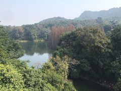 -西樵山风景名胜区-天湖公园