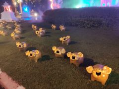 -清迈夜间动物园