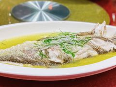 鸡油盐煎白刀鱼-万家宴海鲜大酒楼(五四路店)