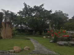 -广西壮族自治区药用植物园