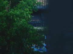 -鸣鹤古镇