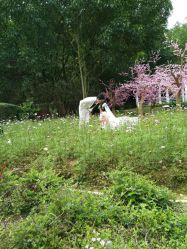 -色色婚纱摄影(大沥旗舰店)