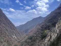 -朱雀国家森林公园
