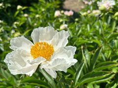 -国家植物园
