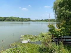 -昆山城市生态森林公园