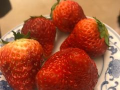 -好望角大饭店(肇嘉浜路店)