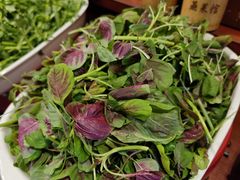 -侬佳蒸菜馆(听潮店)