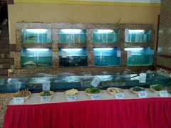 水产区-陶然饺子城(奥体中路店)