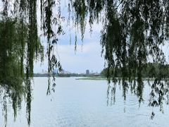 -济南大明湖景区