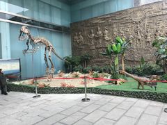 -遵义市博物馆