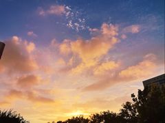 -山东大学(威海校区)