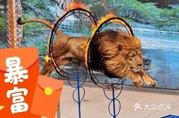 义乌跨年Ⅰ兽王降临！[礼花]狮吼开年！[礼花]好运连连！[色]