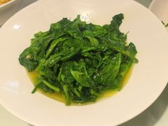 -席家花园(巨鹿花园店)
