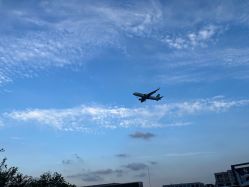 -小蜜蜂农场(凯德七宝购物广场店)