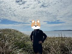 -涉地可支