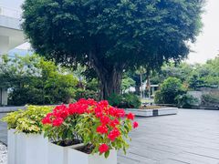 -广州白天鹅宾馆