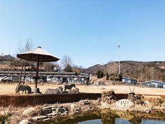 -大连森林动物园