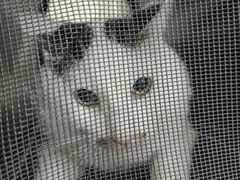 -达爱动物医院·犬猫分区·CT·复杂眼科(远洋山水分院)