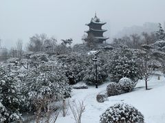 -迎泽公园