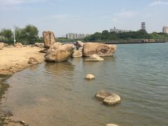 -暨阳湖生态园