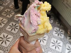 -柠檬车露(卖草地店)