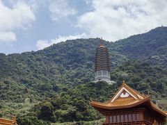 -深圳仙湖植物园
