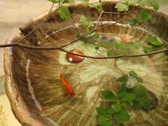 -虹御轩·传承江浙菜(虹桥店)