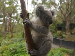 -费瑟代尔野生动物园