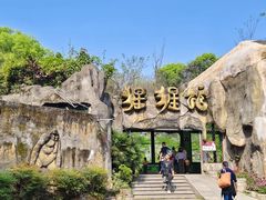 -深圳野生动物园