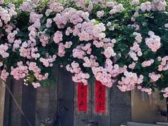-富春茶社(国庆路店)