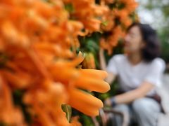 -东莞植物园