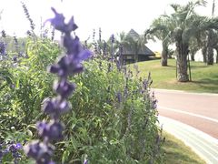 -南通洲际绿博园