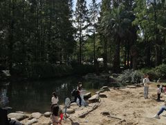 -苏州河梦清园环保主题公园