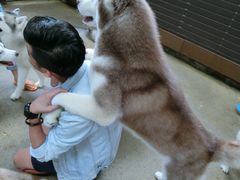 -TrueLove @ Neverland (Husky Cafe)