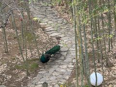 -苏州环秀晓筑养生度假村