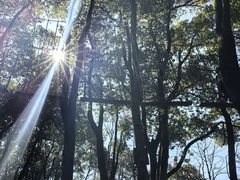 -WeLope紫金山探险公园