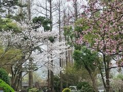-浙江西子宾馆·牡丹厅